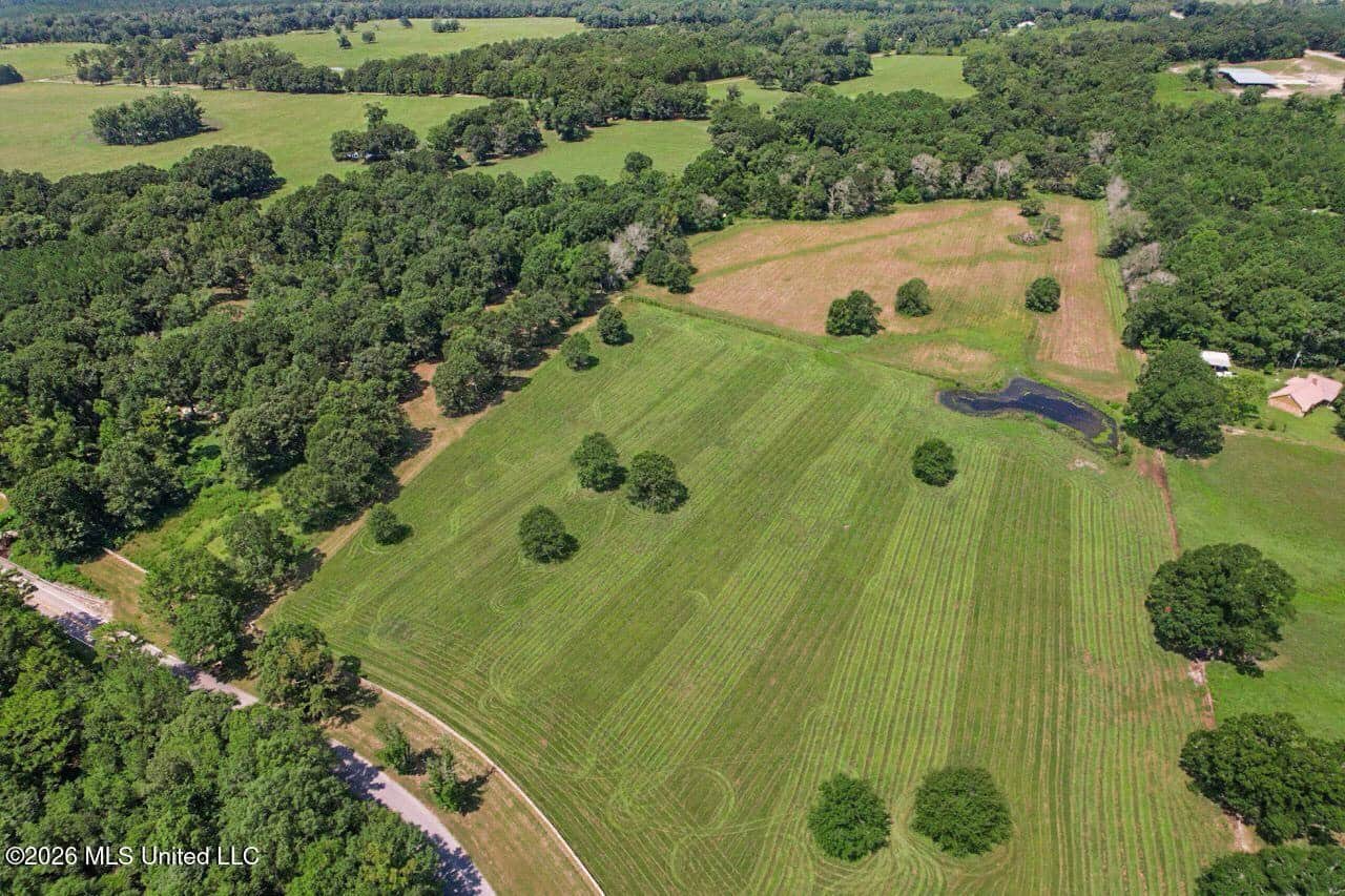 85± Acre Luxury Estate in Poplarville, MS