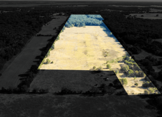 68± Acres Near Lake Bonham | Bonham, Texas