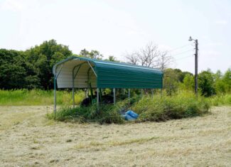 Tr 3 – Rolling 30 Ac+/- Homesite Land Auction Okfuskee County, OK