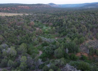 Land For Sale On Glade Park Colorado With Little Dolores River Frontage