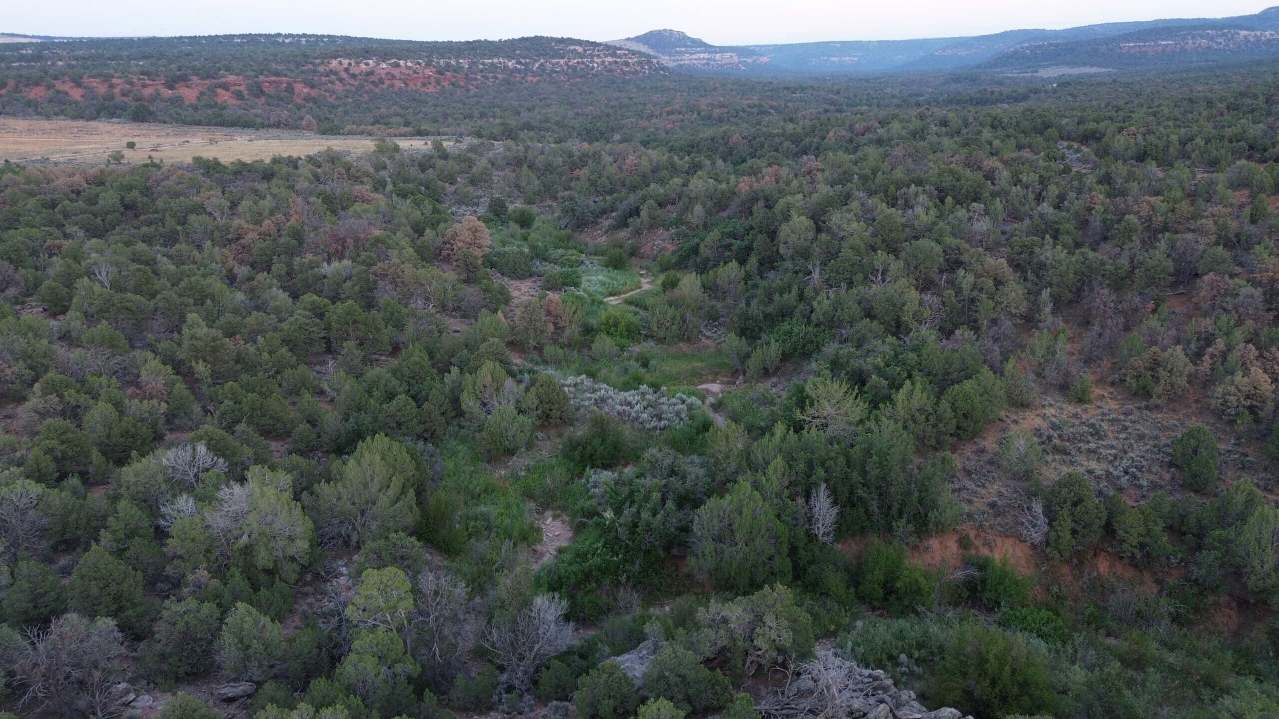 Land For Sale On Glade Park Colorado With Little Dolores River Frontage