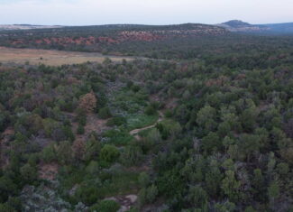 Land For Sale On Glade Park Colorado With Little Dolores River Frontage