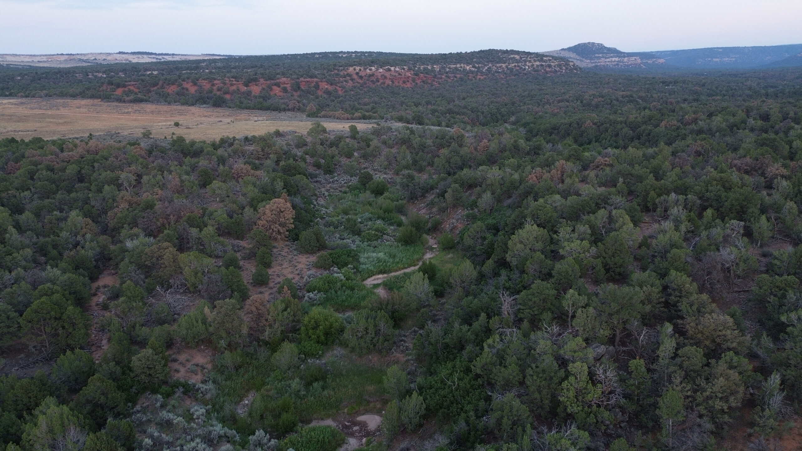 Land For Sale On Glade Park Colorado With Little Dolores River Frontage