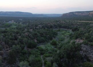 Land For Sale On Glade Park Colorado With Little Dolores River Frontage