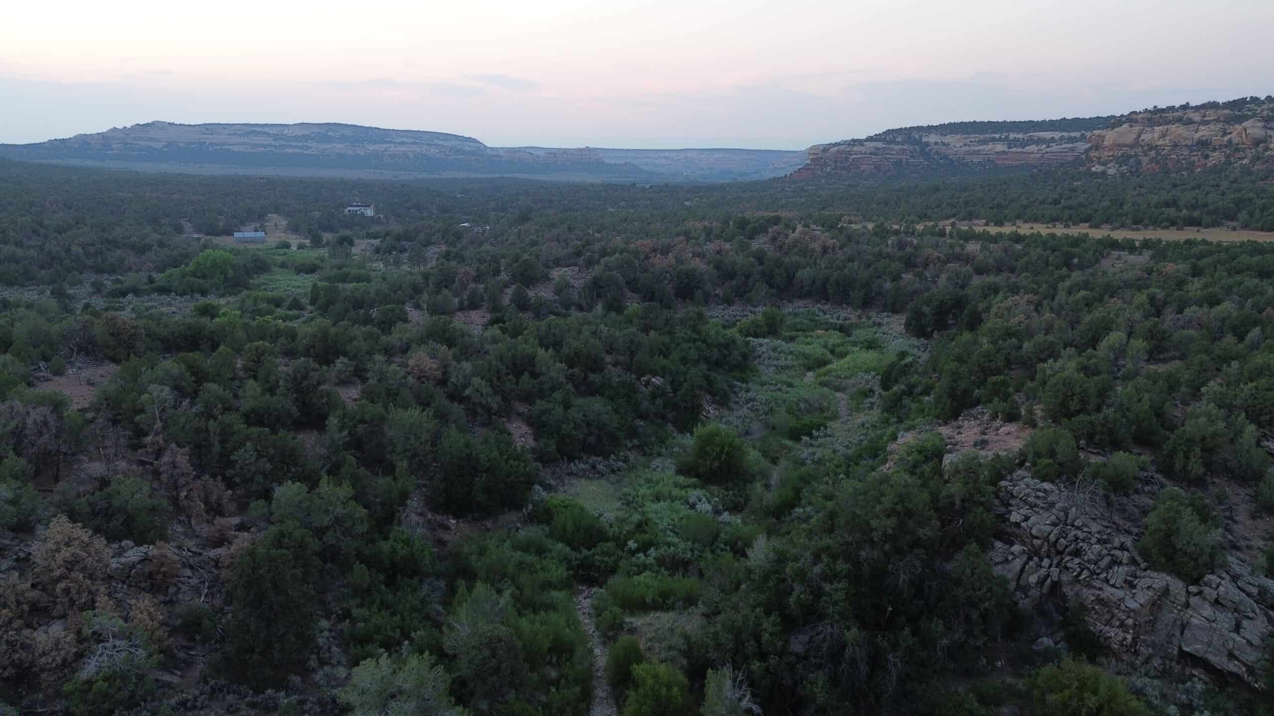 Land For Sale On Glade Park Colorado With Little Dolores River Frontage