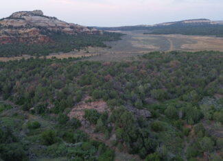 Land For Sale On Glade Park Colorado With Little Dolores River Frontage