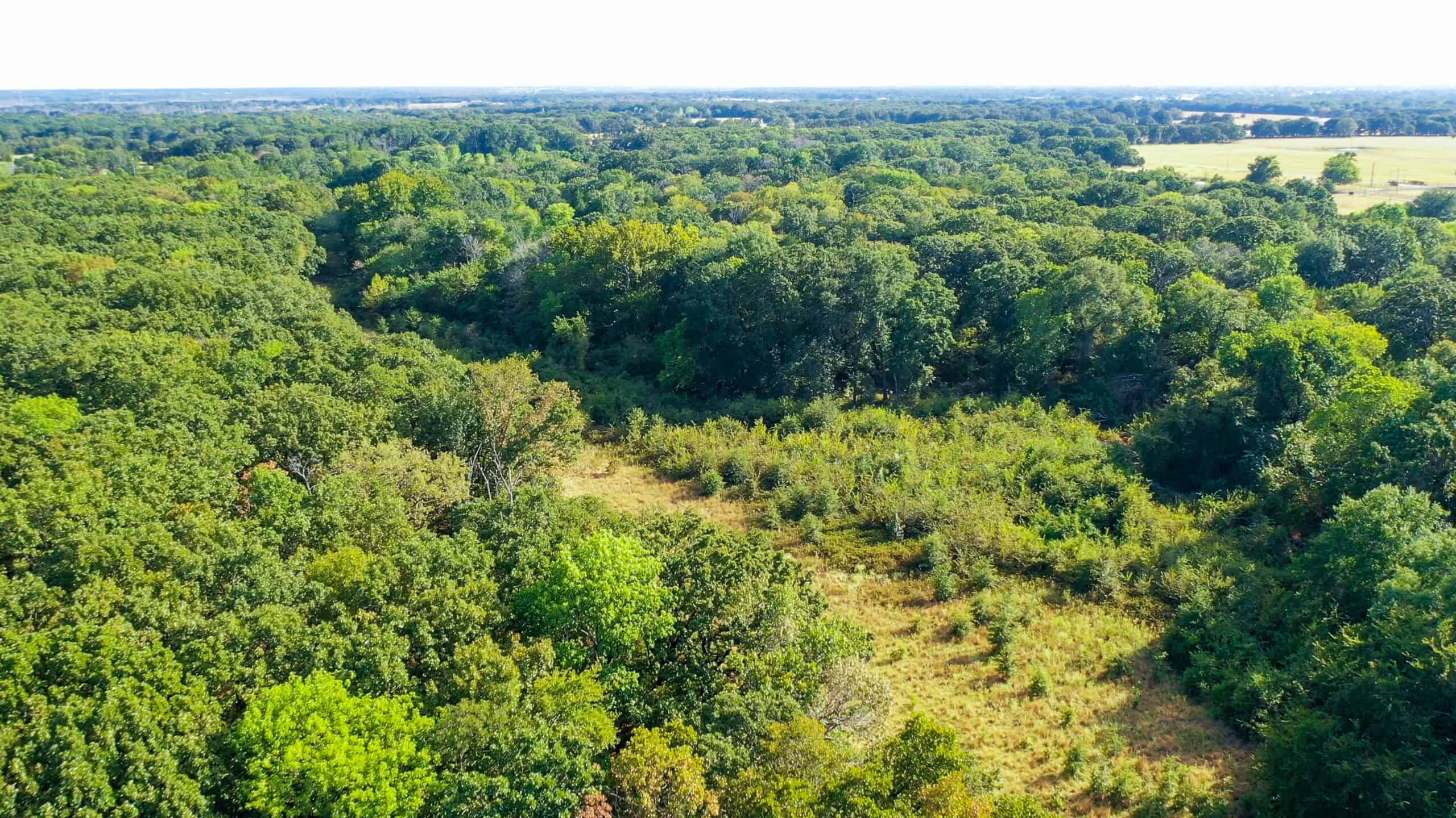 68± Acres Near Lake Bonham | Bonham, Texas