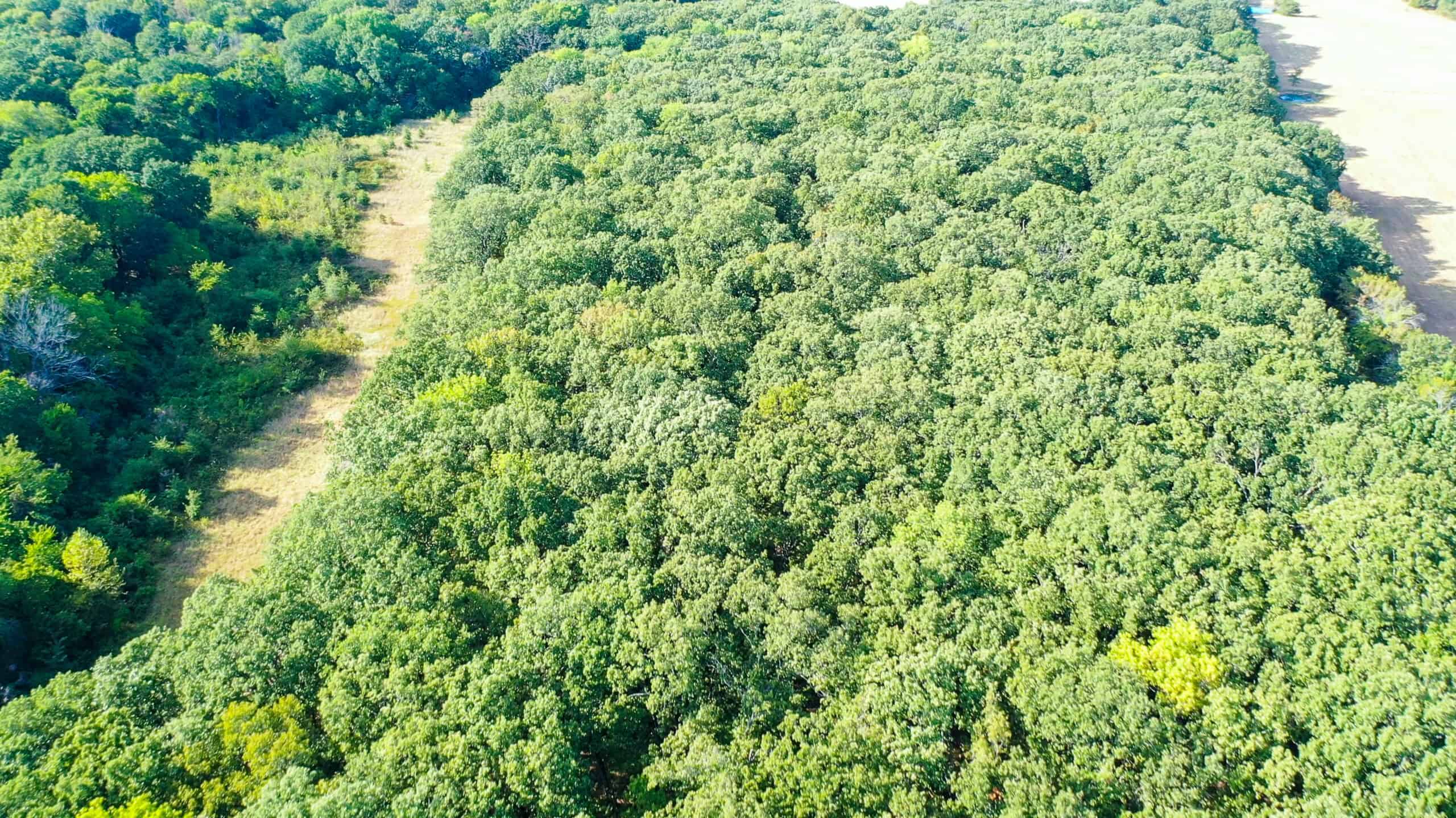 68± Acres Near Lake Bonham | Bonham, Texas