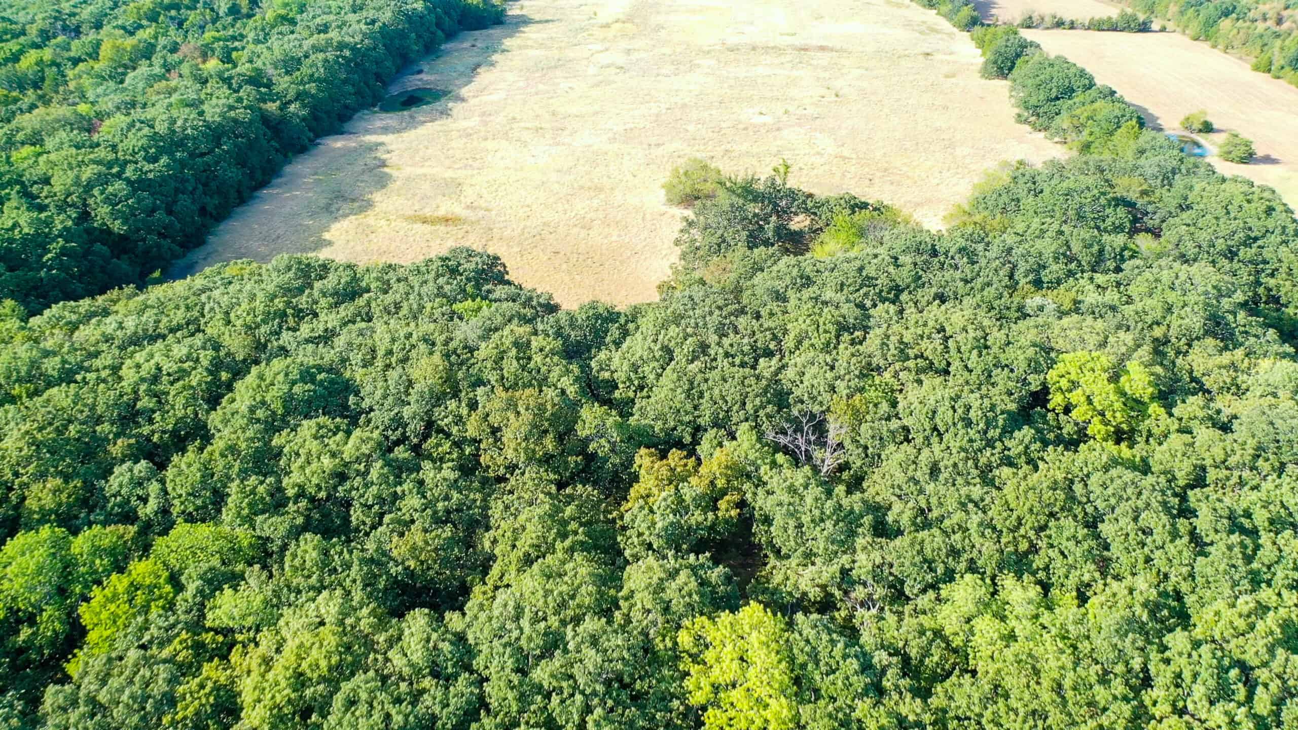 68± Acres Near Lake Bonham | Bonham, Texas