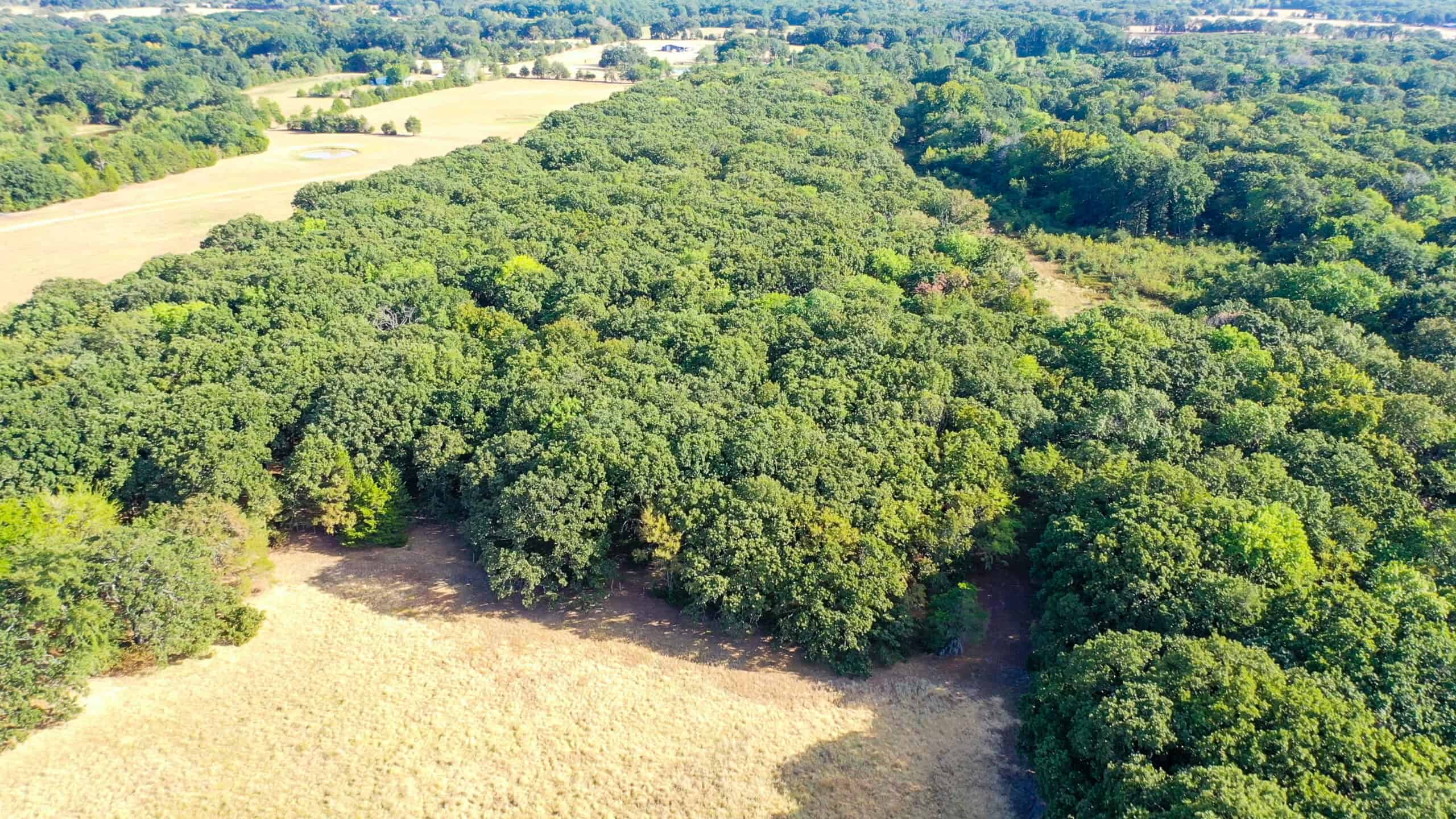 68± Acres Near Lake Bonham | Bonham, Texas