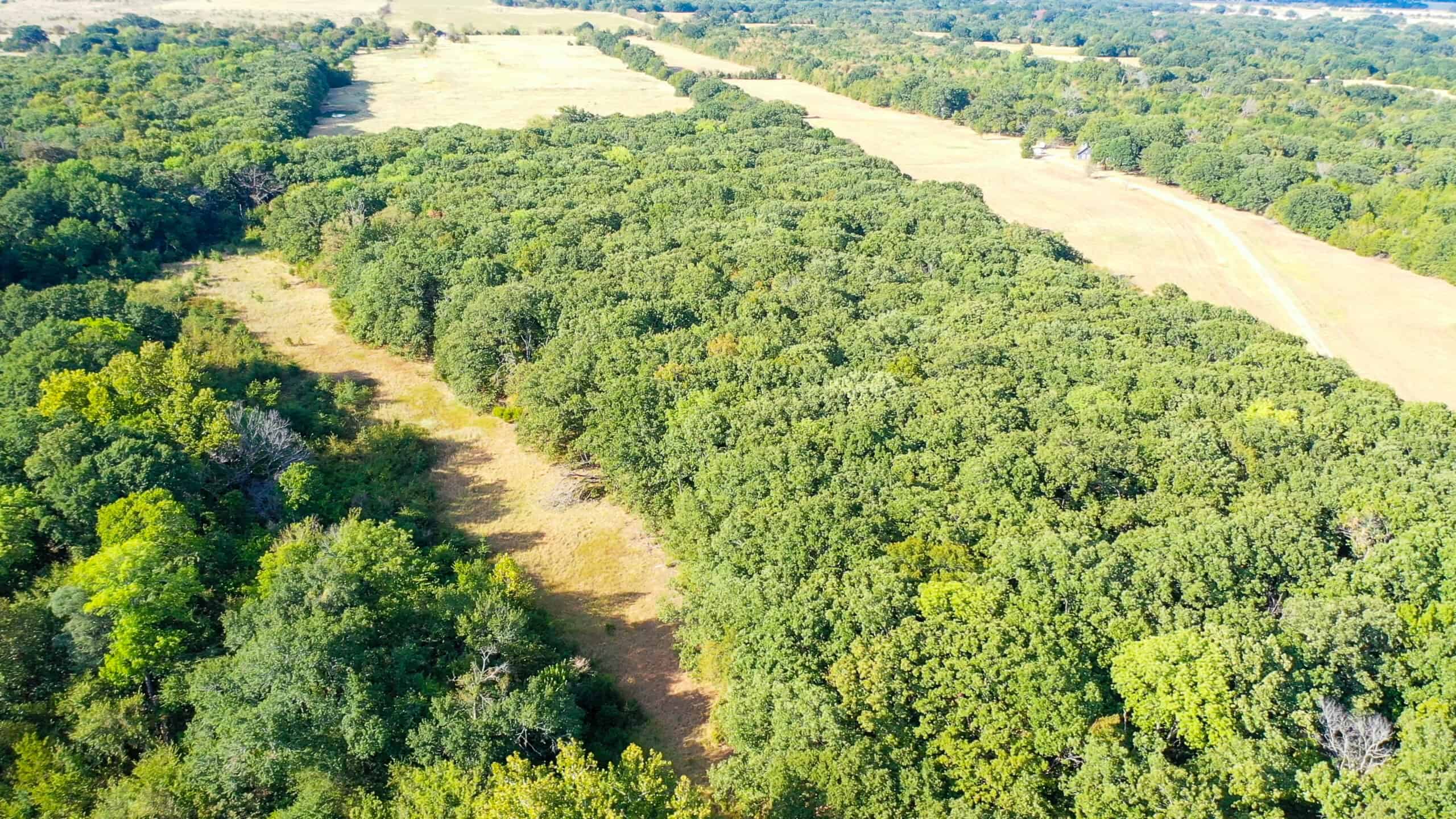 68± Acres Near Lake Bonham | Bonham, Texas