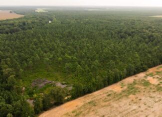Affordable Morehouse Parish Land for Sale