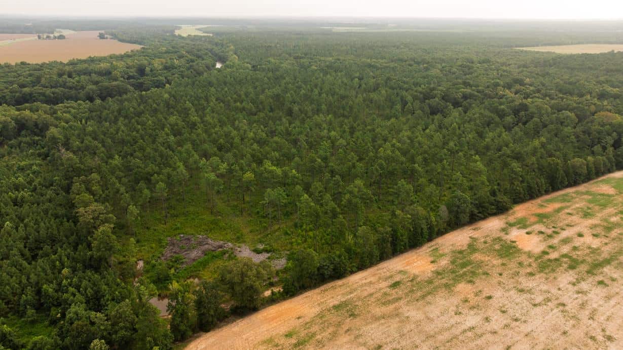 Affordable Morehouse Parish Land for Sale