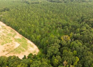 Affordable Morehouse Parish Land for Sale