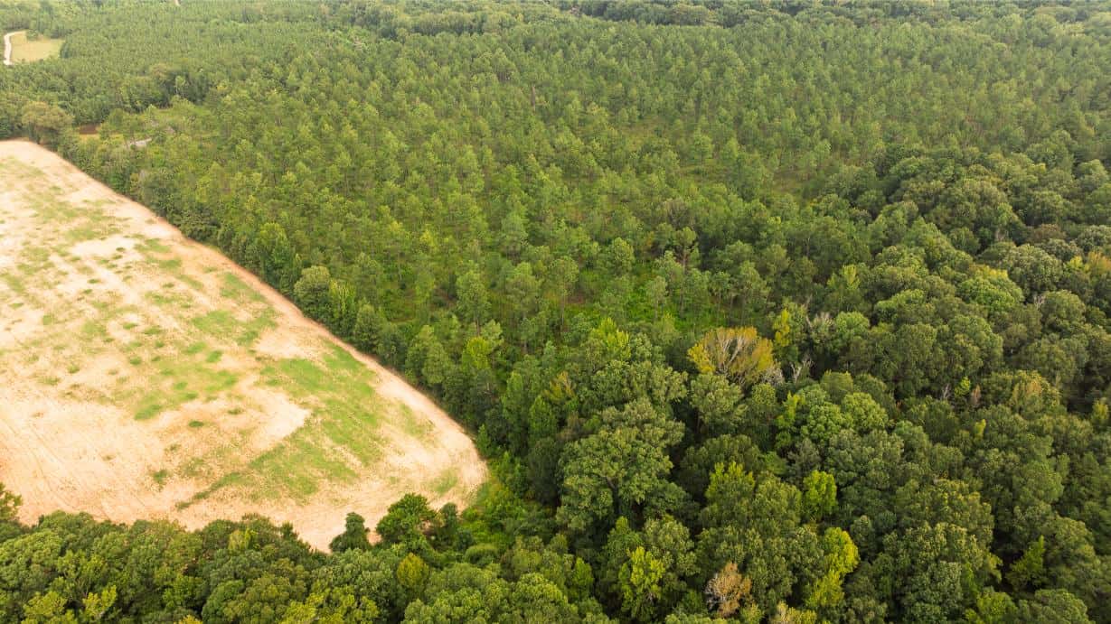 Affordable Morehouse Parish Land for Sale