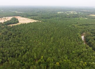 Affordable Morehouse Parish Land for Sale
