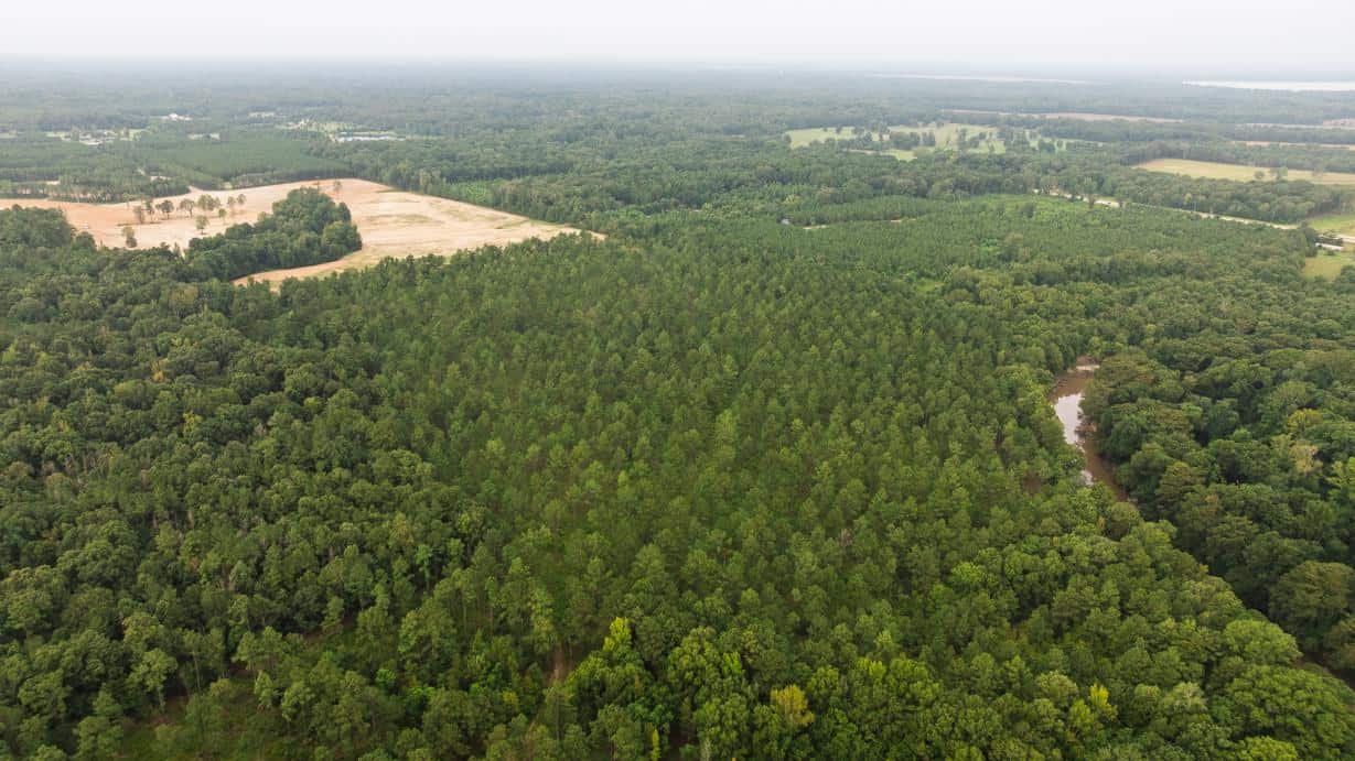 Affordable Morehouse Parish Land for Sale
