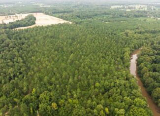 Affordable Morehouse Parish Land for Sale