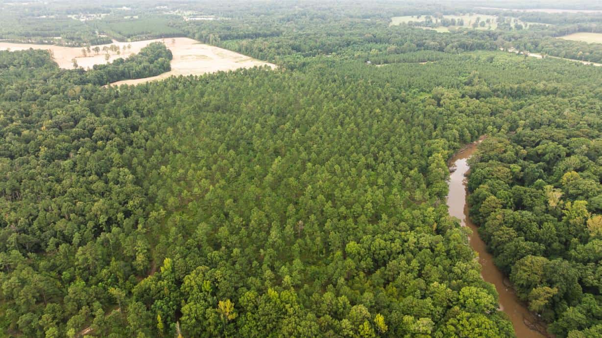 Affordable Morehouse Parish Land for Sale