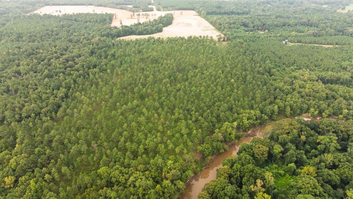 Affordable Morehouse Parish Land for Sale