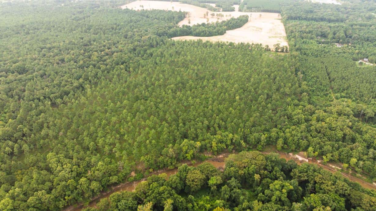 Affordable Morehouse Parish Land for Sale