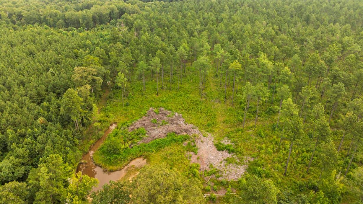 Affordable Morehouse Parish Land for Sale