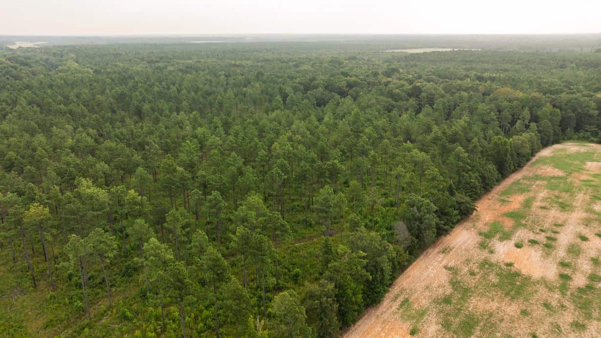 Affordable Morehouse Parish Land for Sale