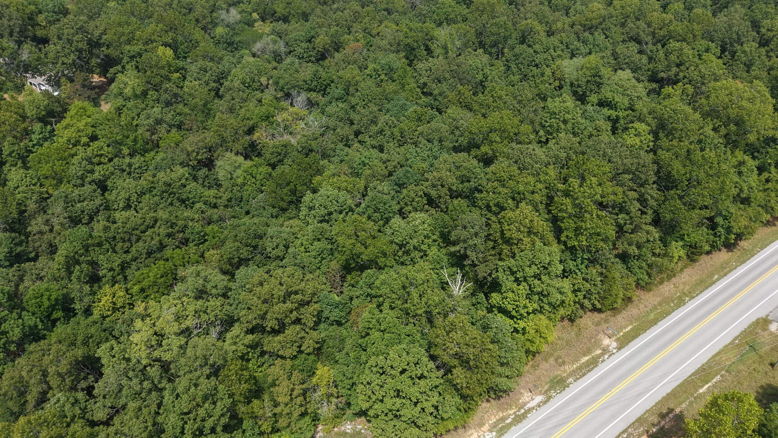 LAND FOR SALE IN RURAL NORTH CENTRAL ARKANSAS