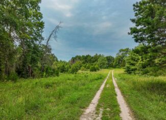 Hunting Land for sale in St. Clair County, Missouri