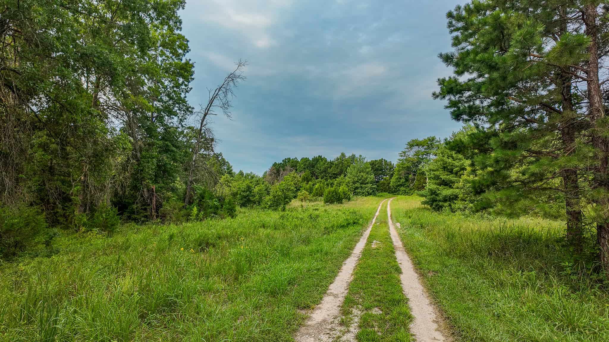 Hunting Land for sale in St. Clair County, Missouri