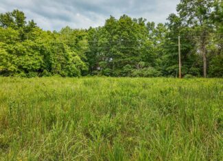 Hunting Land for sale in St. Clair County, Missouri