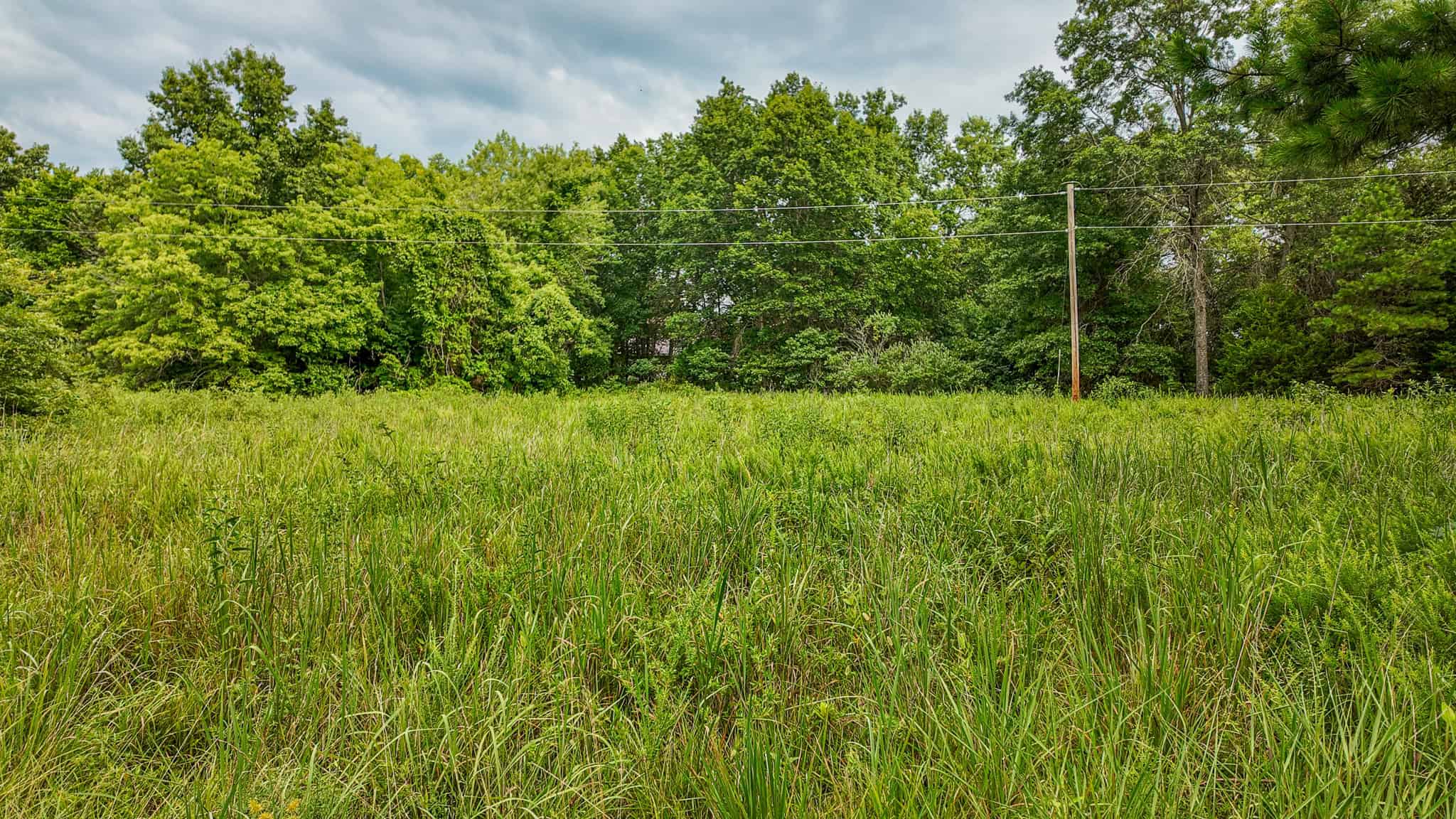 Hunting Land for sale in St. Clair County, Missouri