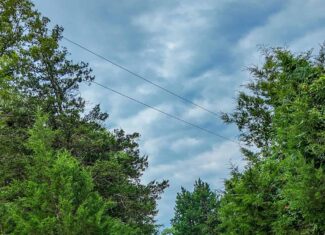 Hunting Land for sale in St. Clair County, Missouri