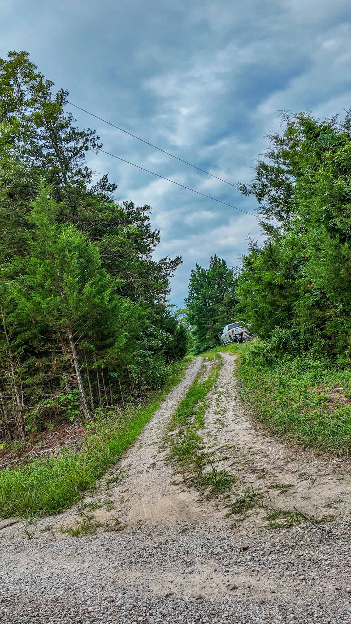 Hunting Land for sale in St. Clair County, Missouri