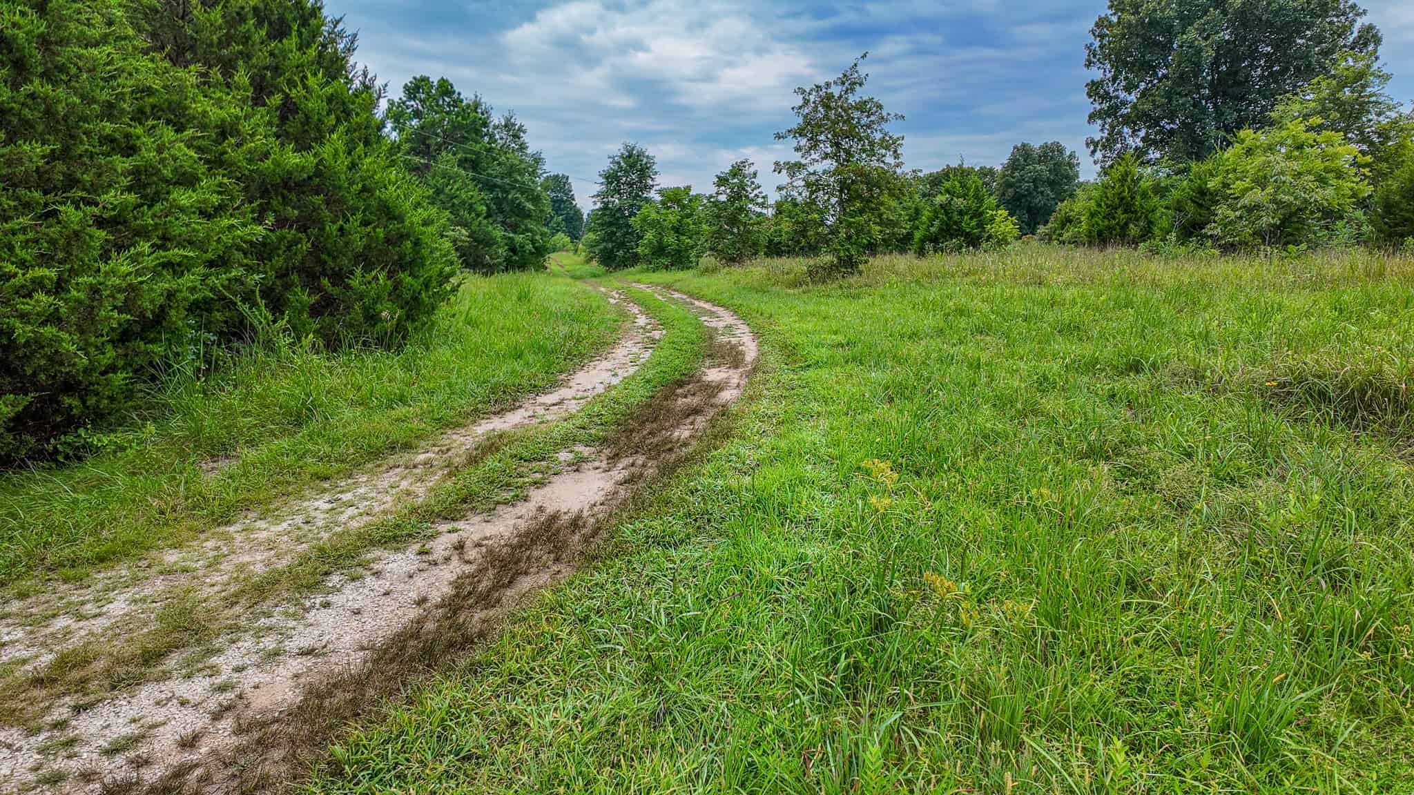 Hunting Land for sale in St. Clair County, Missouri