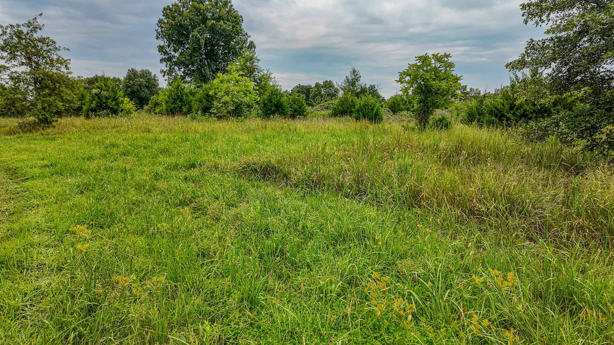 Hunting Land for sale in St. Clair County, Missouri