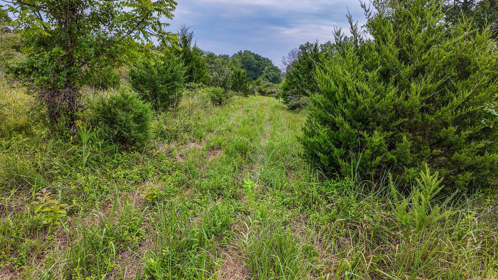 Hunting Land for sale in St. Clair County, Missouri