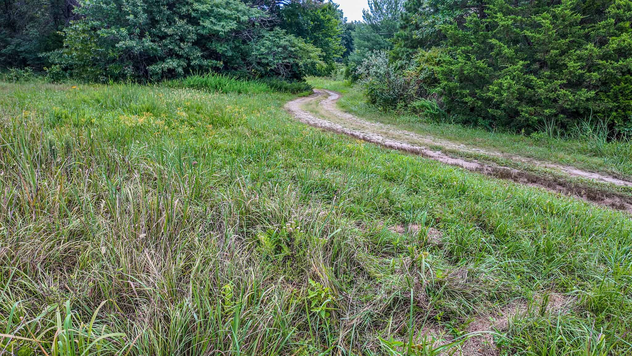 Hunting Land for sale in St. Clair County, Missouri