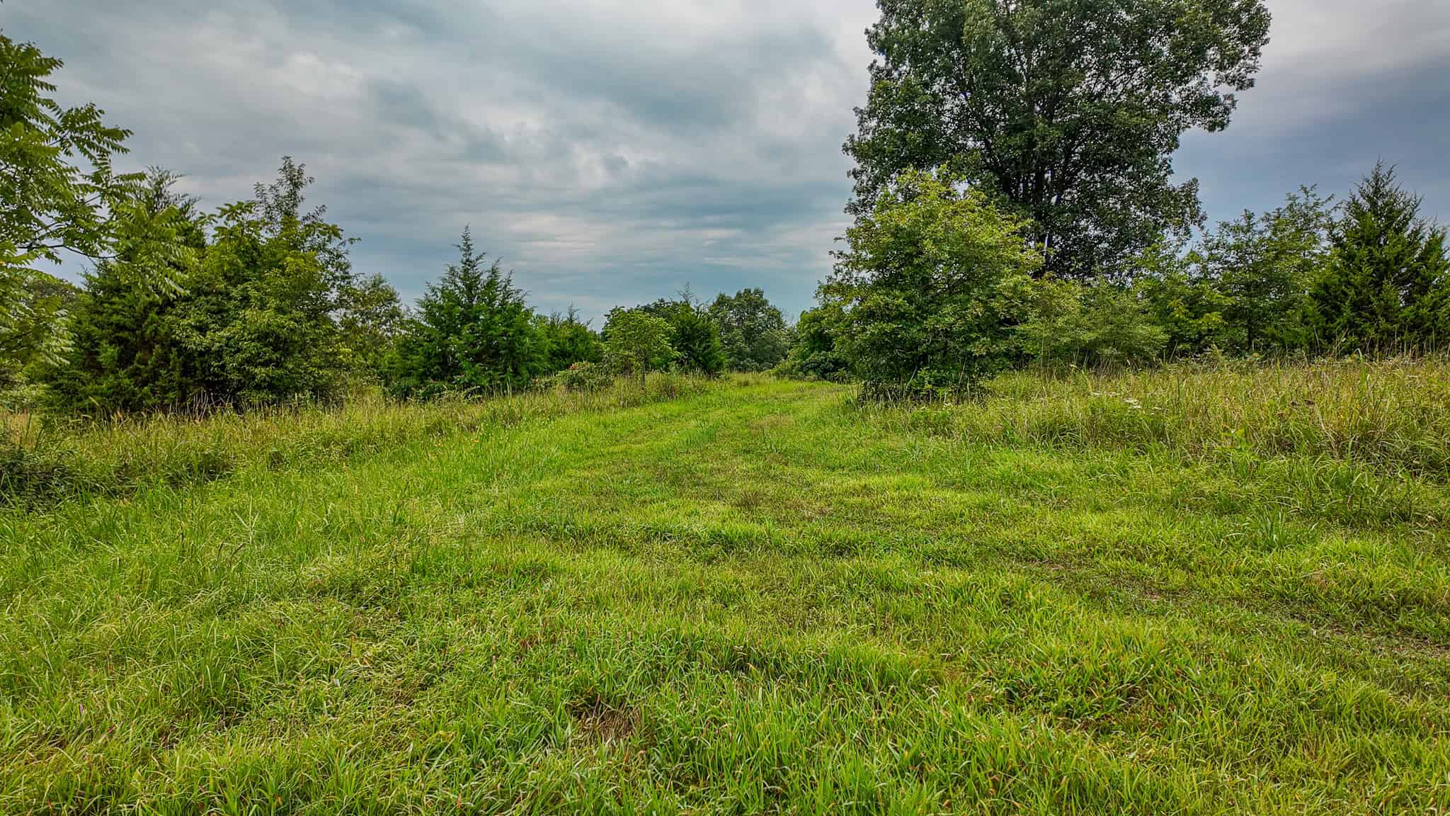 Hunting Land for sale in St. Clair County, Missouri
