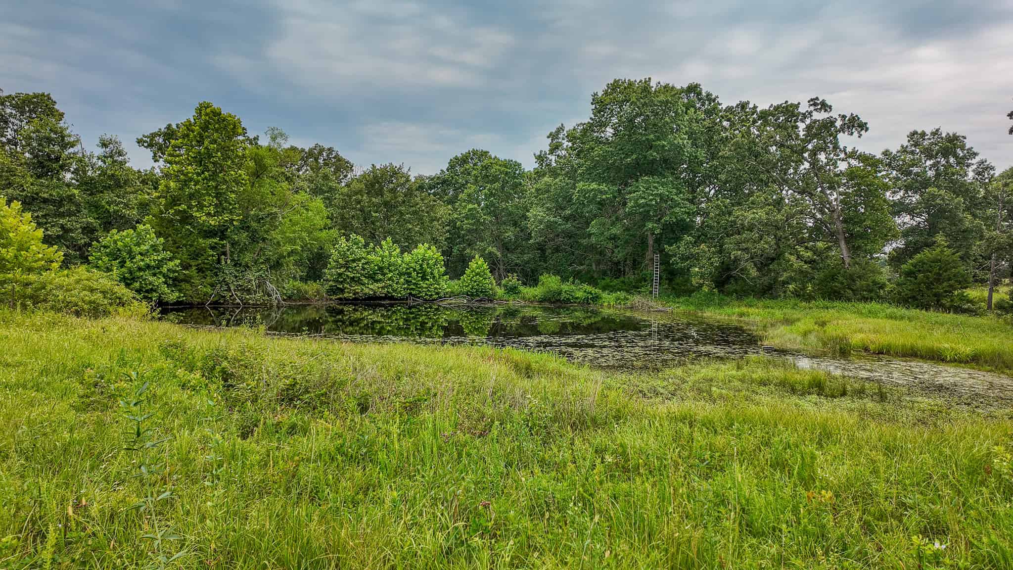 Hunting Land for sale in St. Clair County, Missouri
