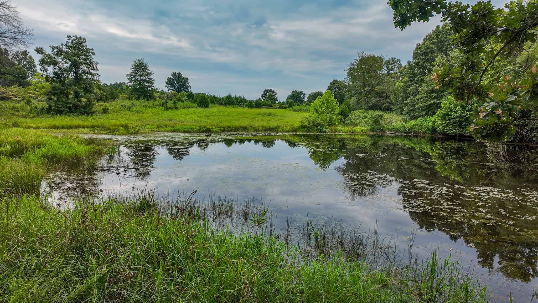 Hunting Land for sale in St. Clair County, Missouri