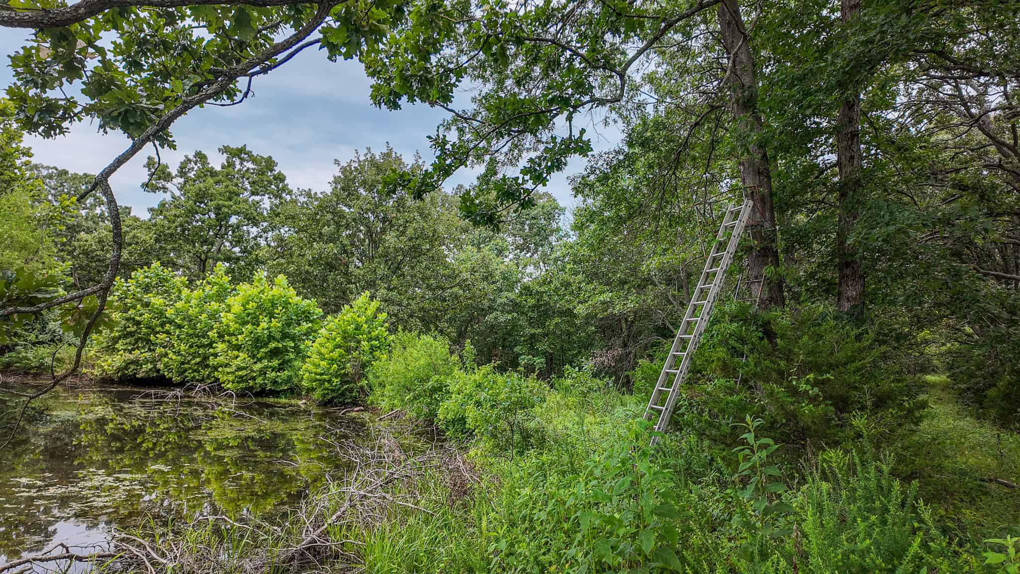 Hunting Land for sale in St. Clair County, Missouri