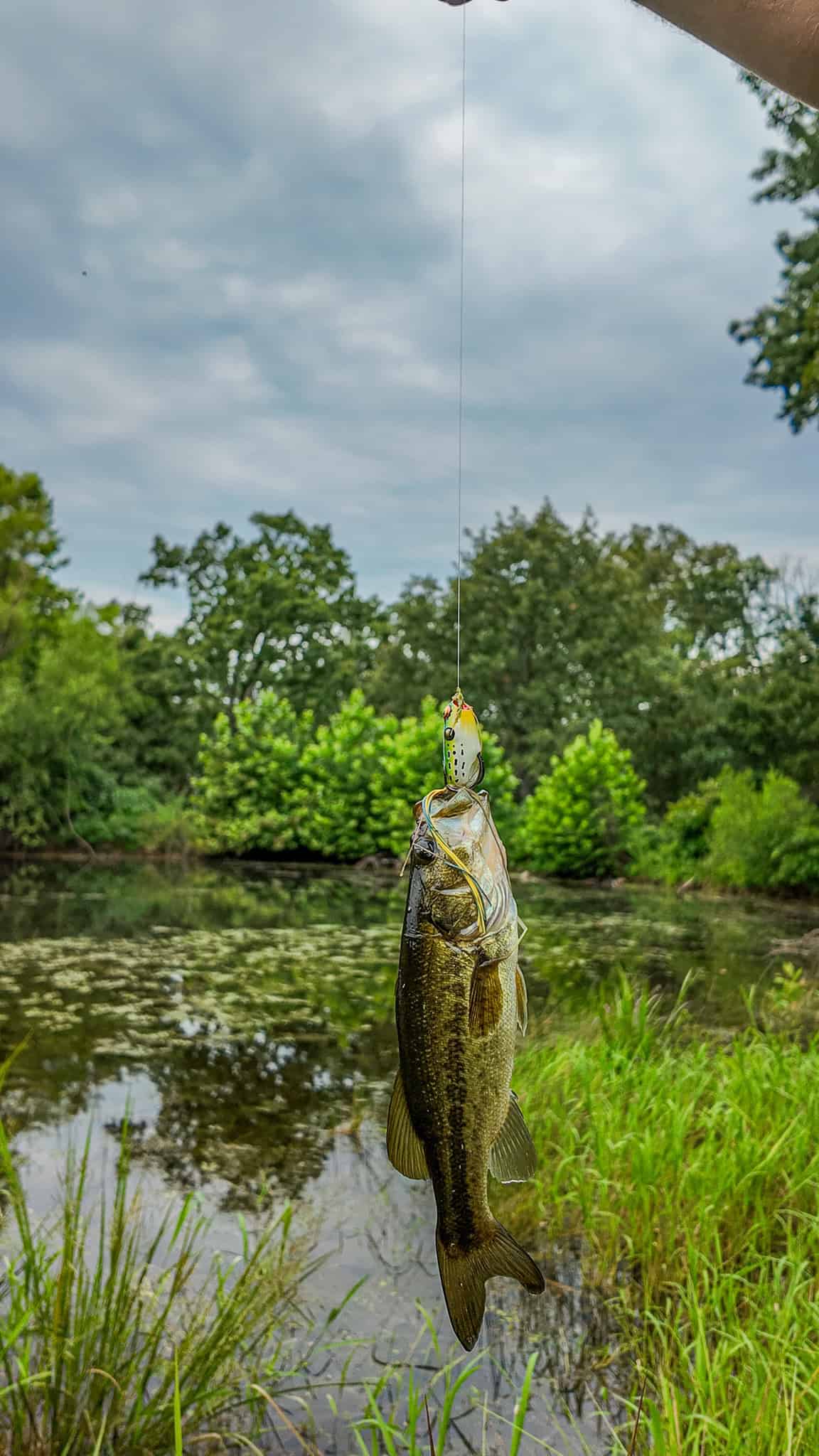 Hunting Land for sale in St. Clair County, Missouri