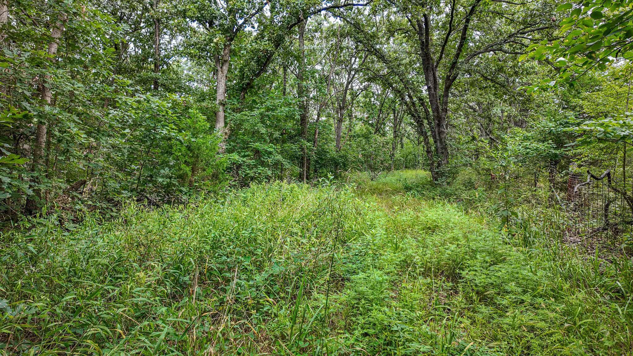 Hunting Land for sale in St. Clair County, Missouri