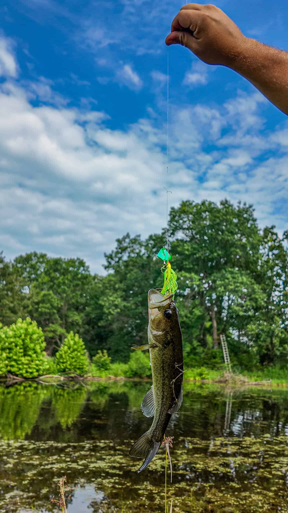 Hunting Land for sale in St. Clair County, Missouri