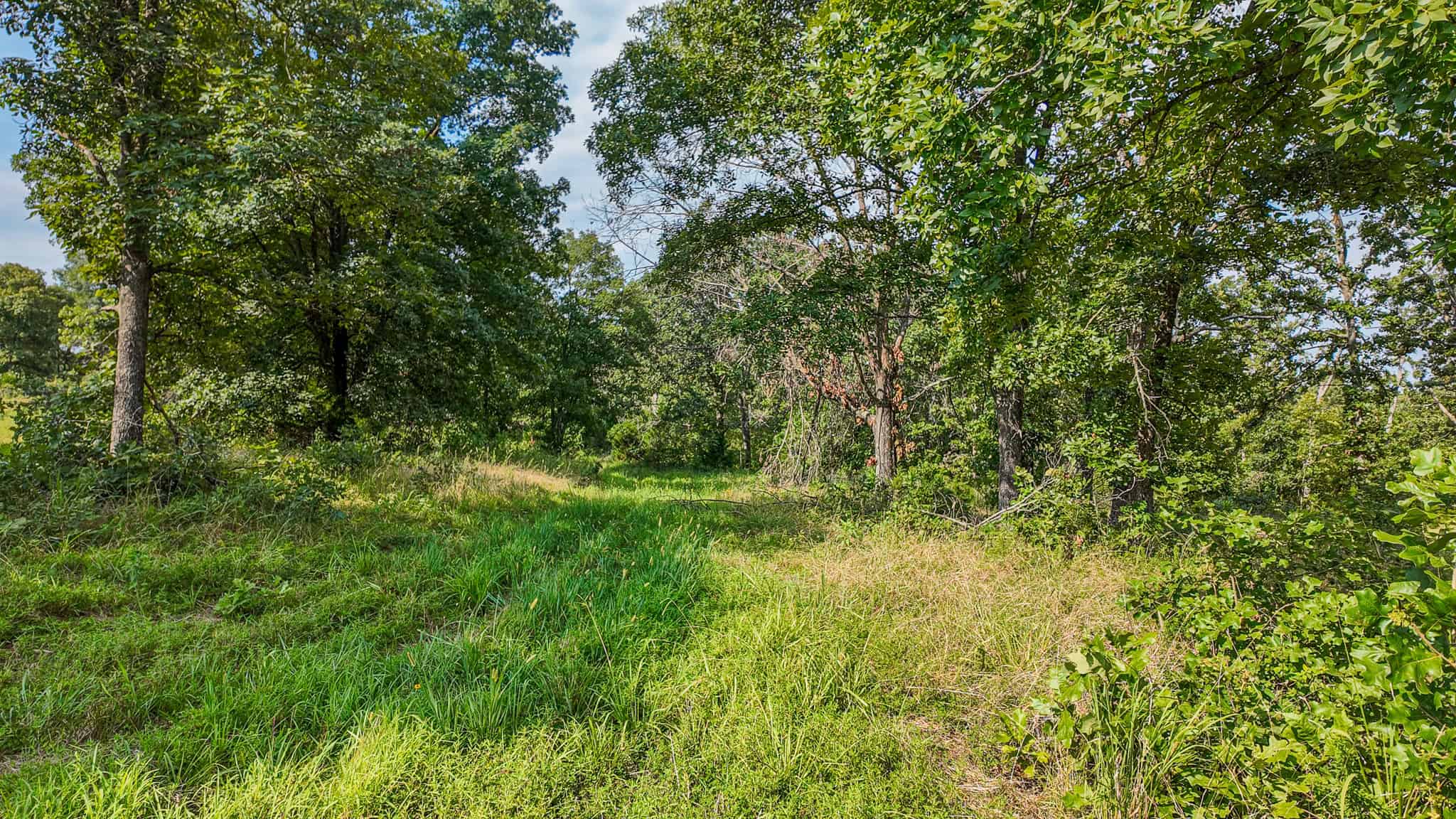 Hunting Land for sale in St. Clair County, Missouri