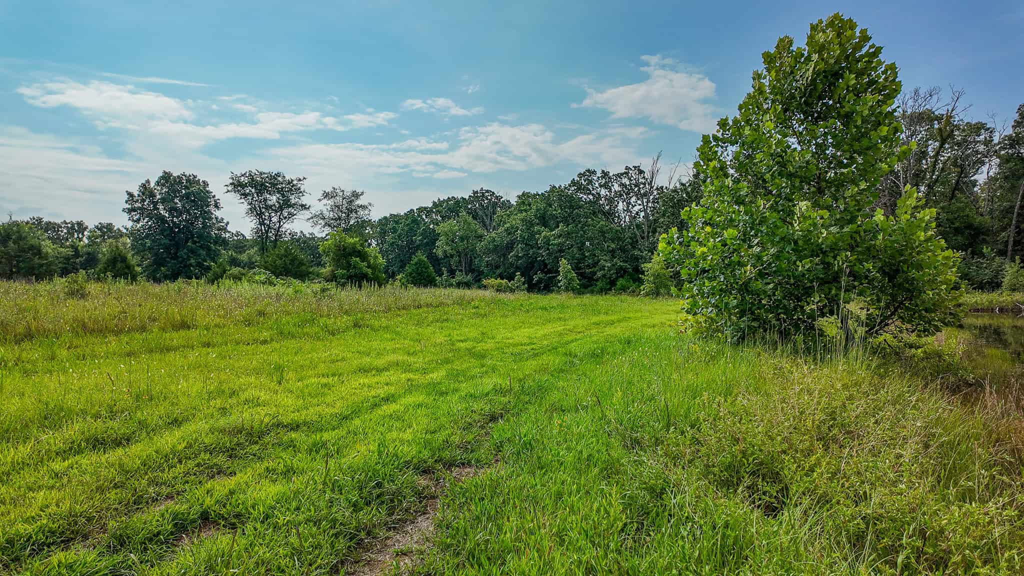 Hunting Land for sale in St. Clair County, Missouri