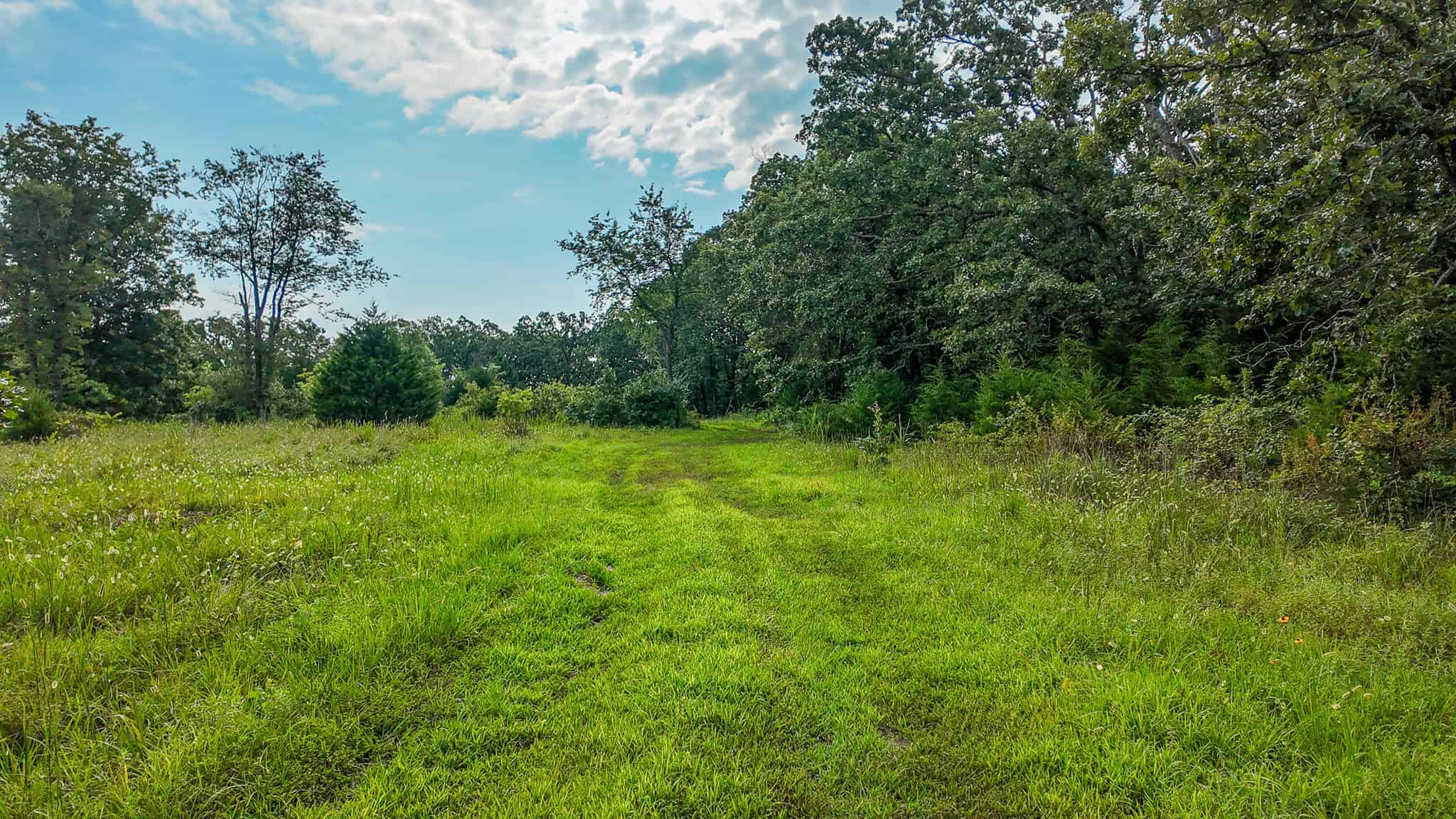 Hunting Land for sale in St. Clair County, Missouri