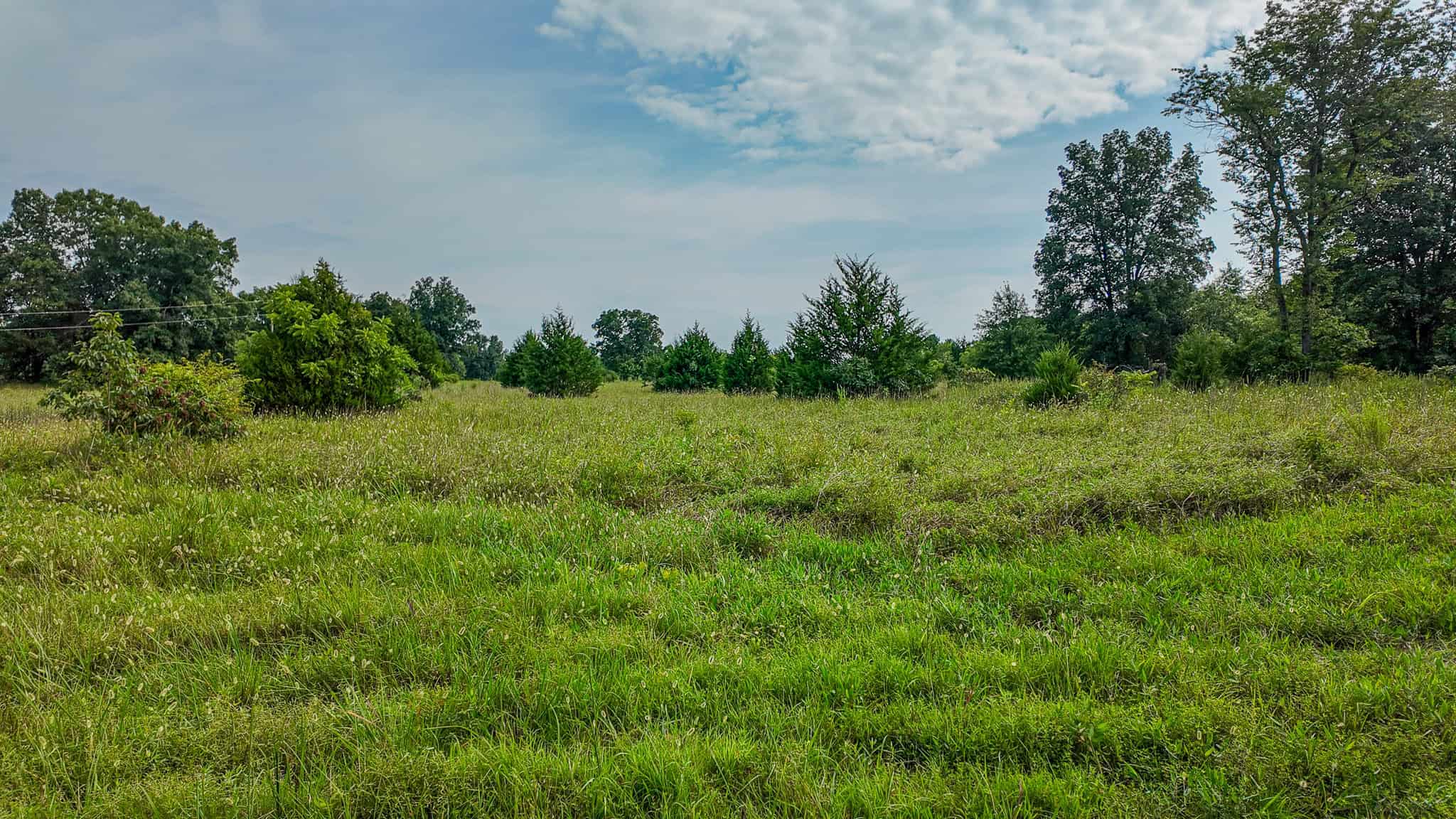 Hunting Land for sale in St. Clair County, Missouri