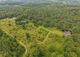 Hunting Land for sale in St. Clair County, Missouri
